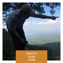 Load image into Gallery viewer, Las Brumas, WFC, Washed Pacamara, El Salvador