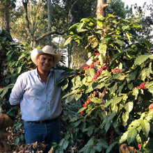 Load image into Gallery viewer, Los Altares, Anaerobic Natural Caturra, Guatemala
