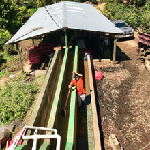 Load image into Gallery viewer, Limoncillo, Washed Caturra, Nicaragua