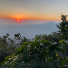 Load image into Gallery viewer, Los Andes, Anaerobic Natural Bourbon, El Salvador