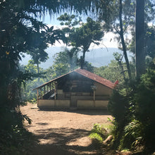 Load image into Gallery viewer, Limoncillo, Washed Caturra, Nicaragua
