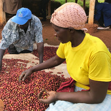Load image into Gallery viewer, Mugaya AA, Kenya
