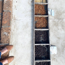 Load image into Gallery viewer, La Fany, Washed Pacamara, El Salvador
