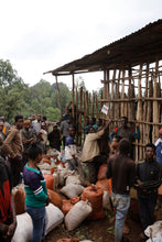 Load image into Gallery viewer, Hunkute, Washed Heirloom Cultivars, Ethiopia
