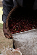 Load image into Gallery viewer, Hunkute, Washed Heirloom Cultivars, Ethiopia
