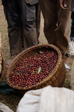 Load image into Gallery viewer, Hunkute, Washed Heirloom Cultivars, Ethiopia
