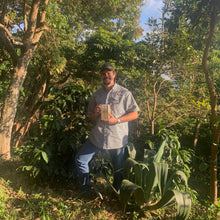 Load image into Gallery viewer, Las Brumas, WFC Honey SL28, El Salvador
