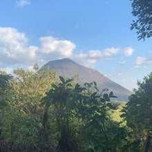 Load image into Gallery viewer, Las Brumas, WFC Honey SL28, El Salvador
