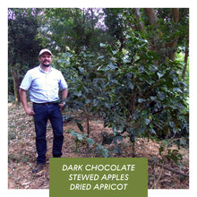 Load image into Gallery viewer, Los Andes, Anaerobic Natural Bourbon, El Salvador
