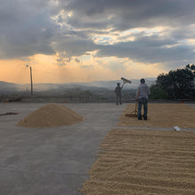 Load image into Gallery viewer, Los Altares, Anaerobic Natural Caturra, Guatemala
