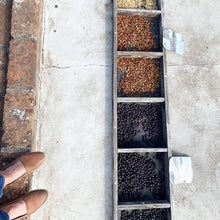 Load image into Gallery viewer, San Cayetano, Washed Red Caturra, El Salvador
