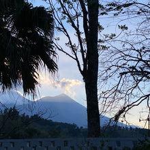Load image into Gallery viewer, La Soledad, Washed Caturra and Catuaí, Guatemala
