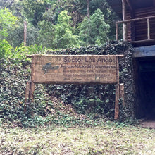 Load image into Gallery viewer, Los Andes, Anaerobic Natural Bourbon, El Salvador
